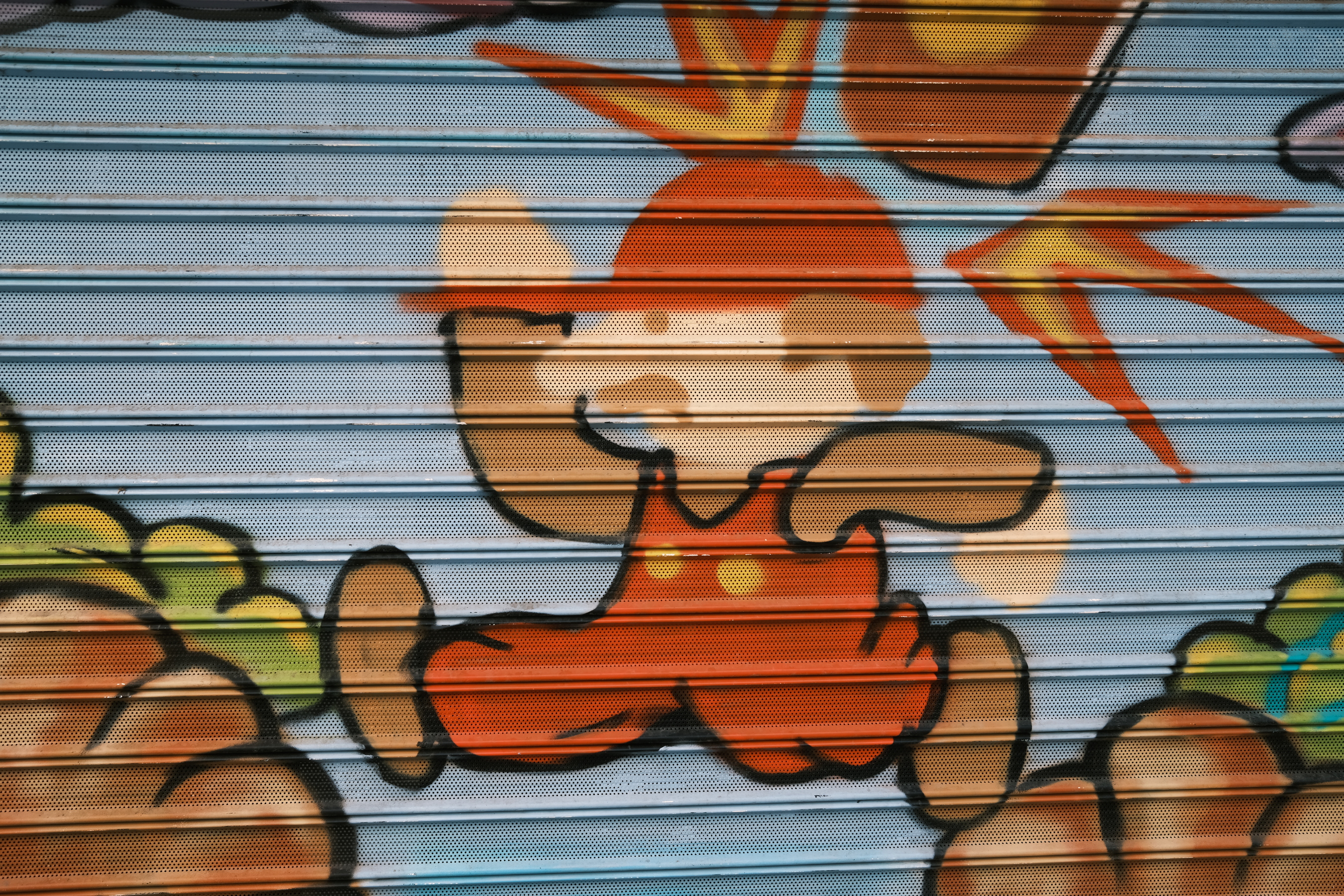 DSCF3106.JPG