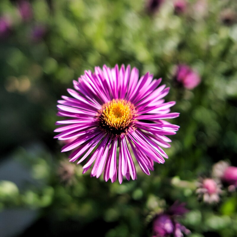 P3490948.jpg