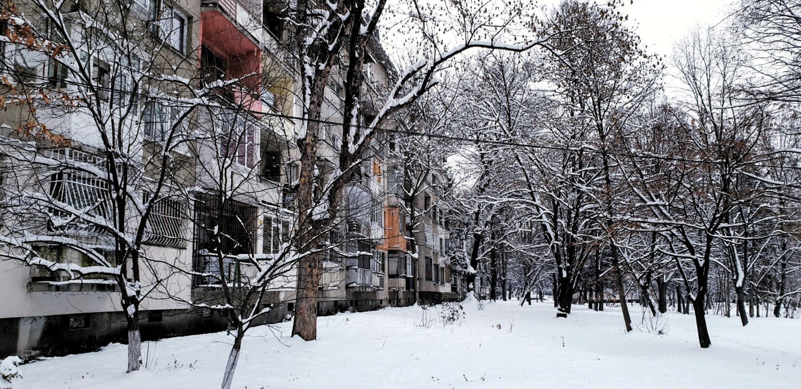 Западен-Парк.jpg